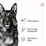 Royal Canin Maxi Adult - Image 2