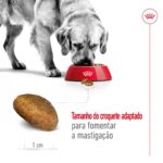 Royal Canin Maxi Adult - Image 4