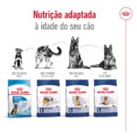 Royal Canin Maxi Adult - Image 5