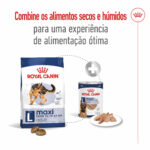 Royal Canin Maxi Adult - Image 7