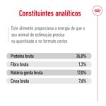 Royal Canin Maxi Adult - Image 8