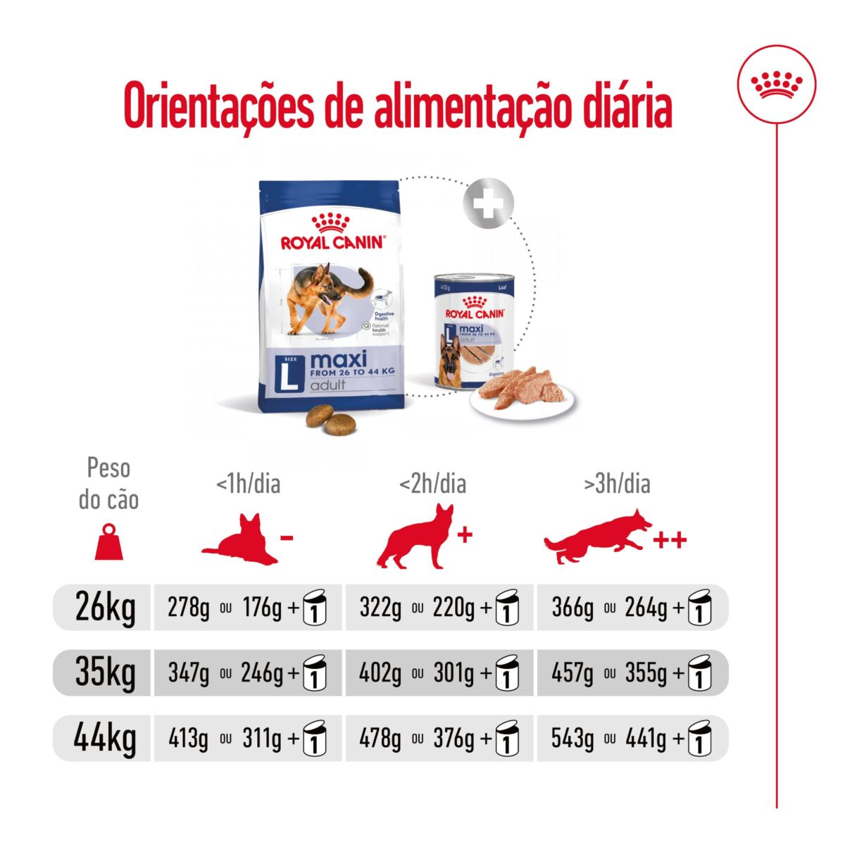 RC-SHN-MaxiAdult-Poultry-CV-9-pt_PT.pdf Royal Canin Maxi Adult - Image 9