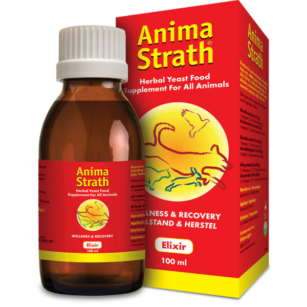 Anima-Strath