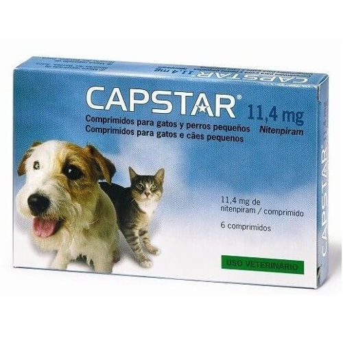 capstar desparasitante