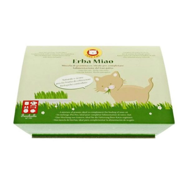 erva para gatos