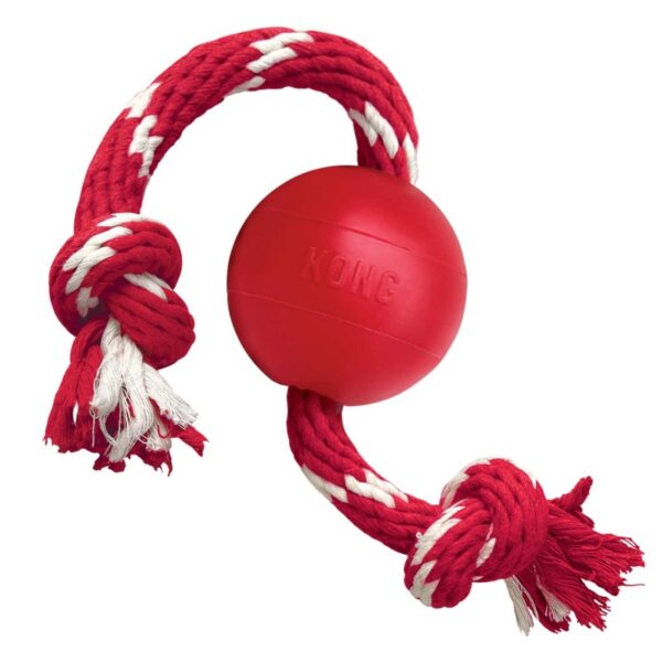 kong ball with rope
