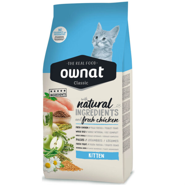 ownat classic gato kitten