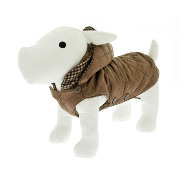 capa cheuva cão mosca ferribiella