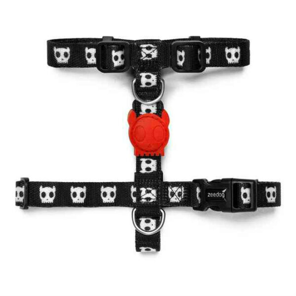 arnes peitoral skull zee dog