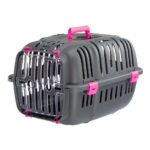 Transportadora Jet 10