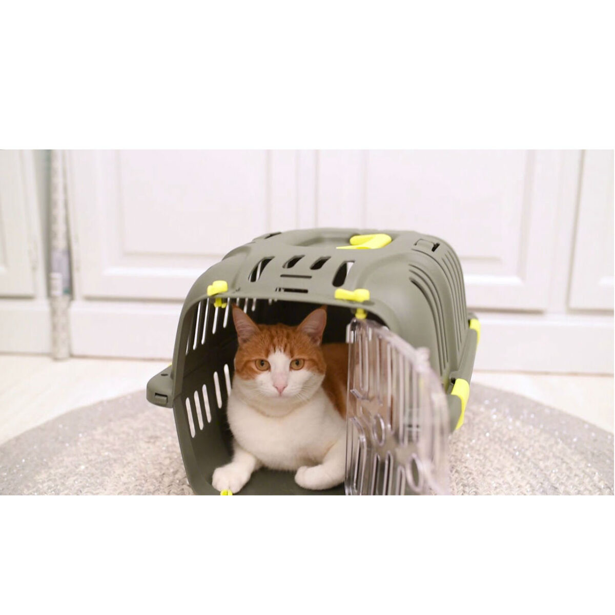 Transportadora Jet 10 - Image 3