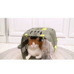 Transportadora Jet 10 - Image 3