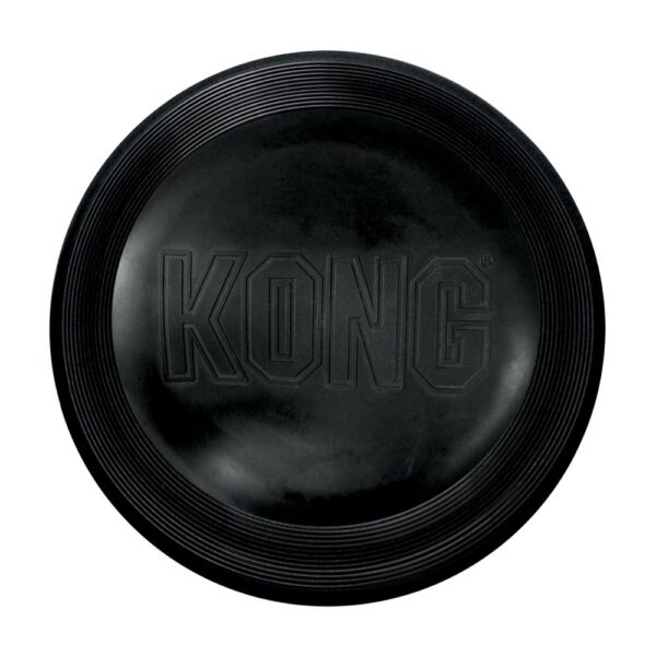 kong extreme flyer l