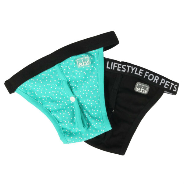 Cueca EBI + 4 pensos cão