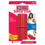 kong dental stick