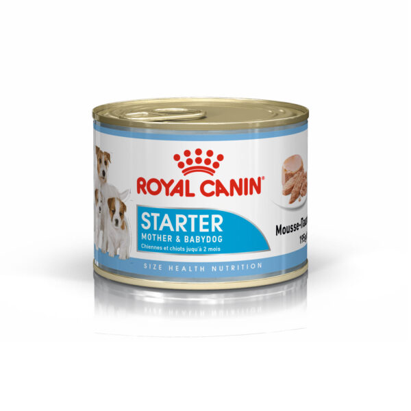 starter mousse royal canin lata 195gr