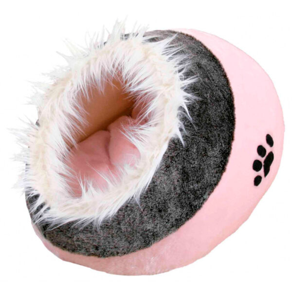 igloo minou