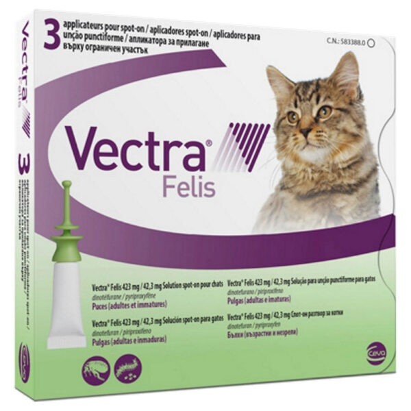 VECTRA FELIS WEPET GATOS