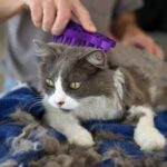 Kong Cat Zoomgroom - Image 2