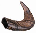 Corno de Búfalo para Mascar - Image 3