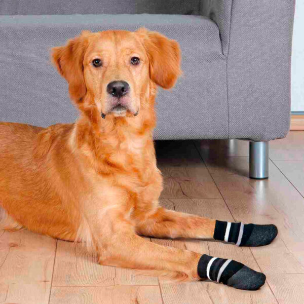 Meias para Cão (2 unidades)