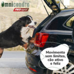 OMNICONDRO PRORAPID 60 CP WEPET