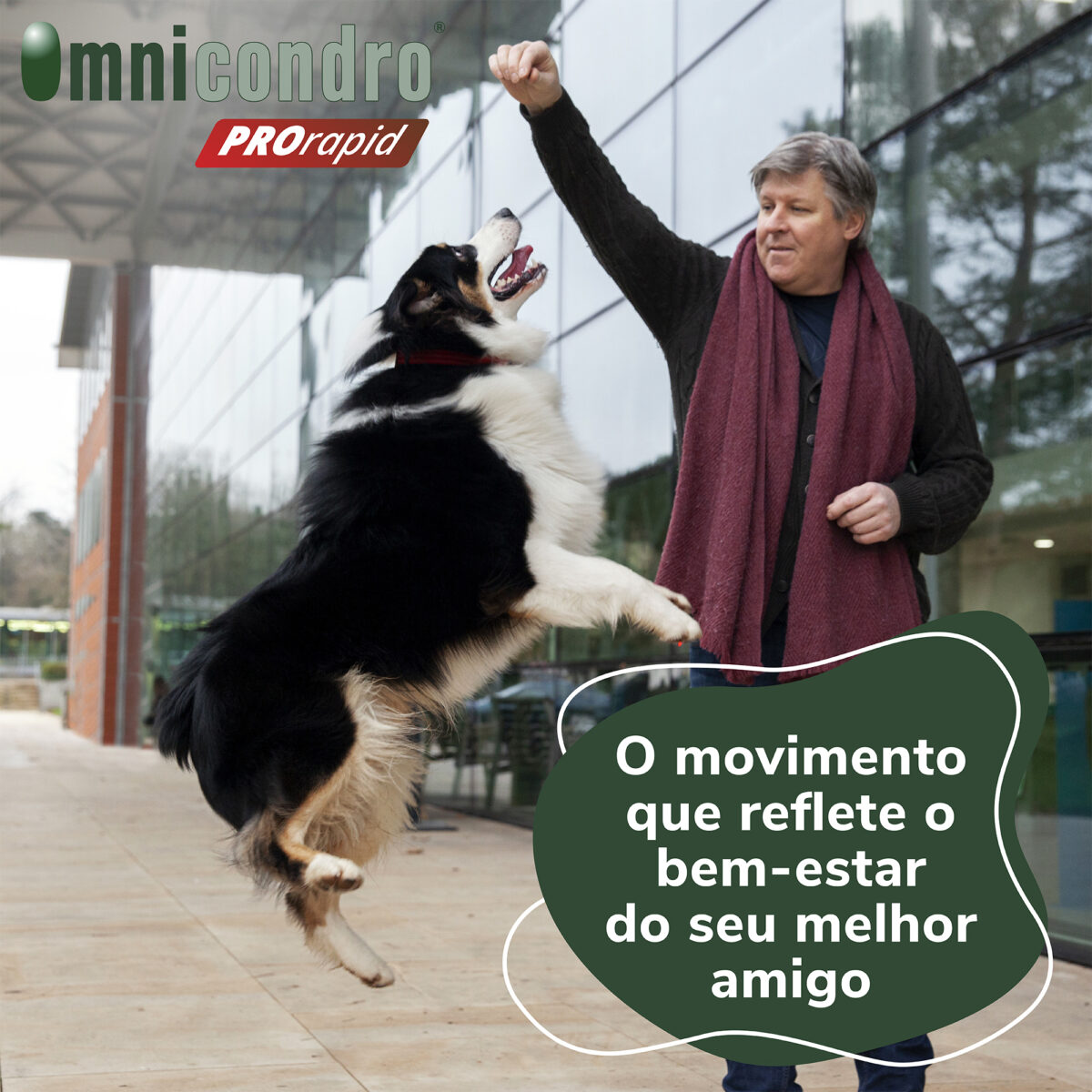 OMNICONDRO PRORAPID 60 CP WEPET