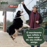 OMNICONDRO PRORAPID 60 CP WEPET