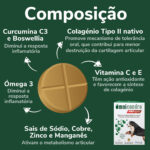 OMNICONDRO PRORAPID 60 CP WEPET