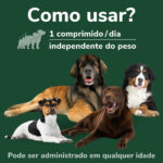 OMNICONDRO PRORAPID 60 CP WEPET