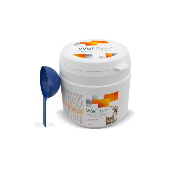 WEFIBER WEPHARM