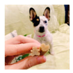 Whimzee Snack Puppy - Image 6