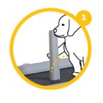 Bandeja Sanitária "Puppy Training" 60 X 40cm - Image 4