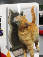 KONG CAT CONNECTS KITTY COMBER - Image 3