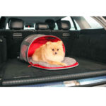 KONG 2 em 1 (transportadora e tapete) - Image 3