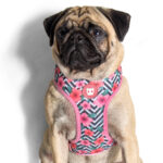 Zee.Dog Air Mesh Plus Arnês MAHALO - Image 3