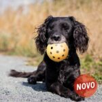 Bola para Cães Invisuais - Image 2