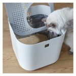 WC Go Fresh No Mess | AFP - Image 4