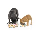 FuzzYard Comedouro Go Nuts For Donuts - Image 4