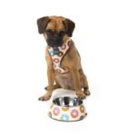 FuzzYard Comedouro Go Nuts For Donuts - Image 3