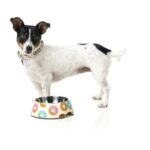 FuzzYard Comedouro Go Nuts For Donuts - Image 2