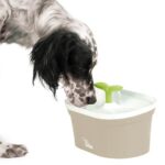 fontanario blossom wepet fonte agua bebedouro cão gato