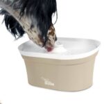 fontanario blossom wepet fonte agua bebedouro cão gato