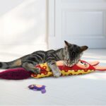 Kong Cat Kickeroo Kanga - Image 3