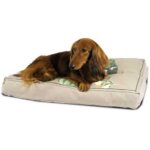 Cama Not Short Pet Cushion - Image 6