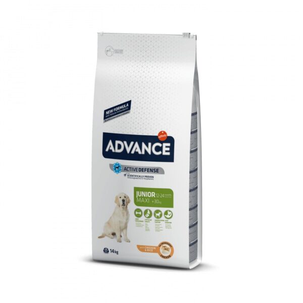 advance dog maxi junior 14kg