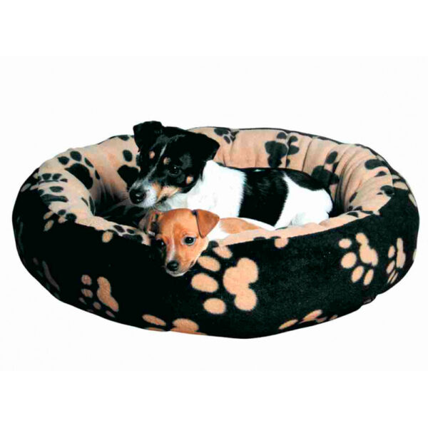 cama sammy