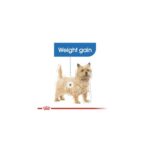 Royal Canin Light Weight Care Mini - Image 3
