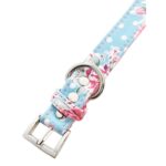Conjunto Coleira e Trela Rosa Vintage - Image 5