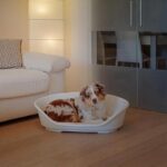Cama Siesta Deluxe - Image 6